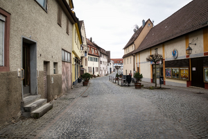 Désinsectisation dératisation Schiltigheim